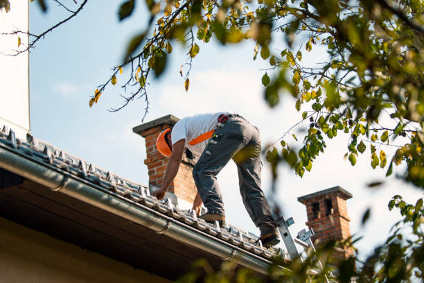 Best Storm Damage Roof Repair  in Pleasant Gap, PA